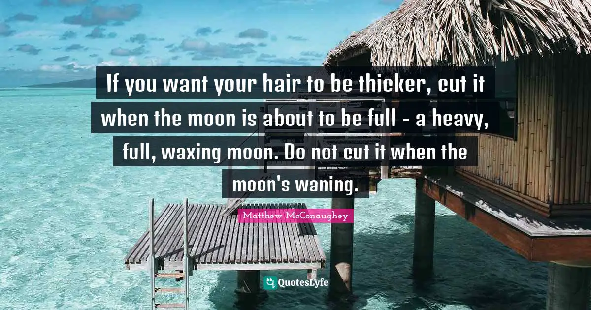 If you want your hair to be thicker, cut it when the moon is about to be full - a heavy, full, waxing moon. Do not cut it when the moon's waning.