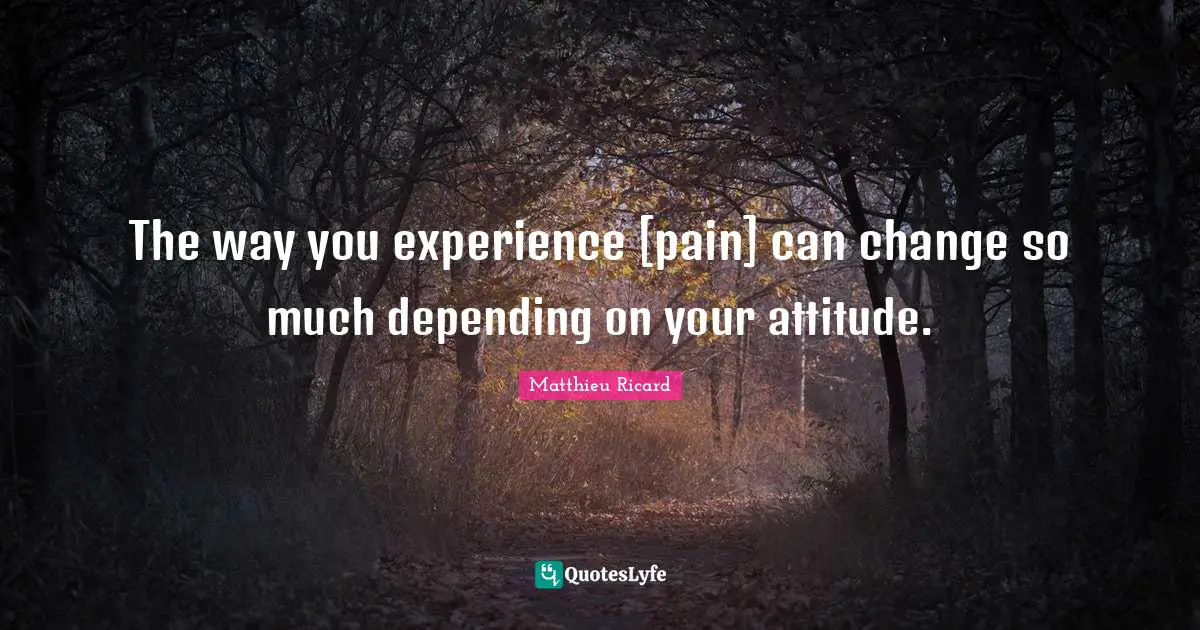 Matthieu Ricard Quotes: "The way you experience [pain] can change so much depending on your attitude."
