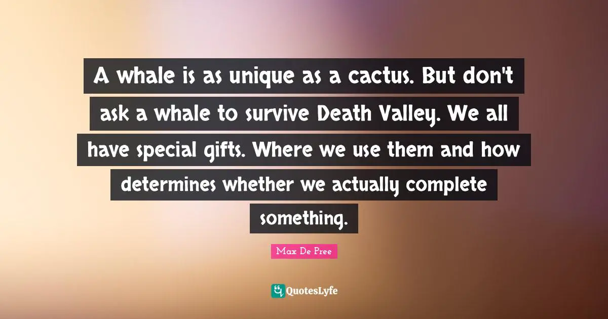 Diversity Quotes: "A whale is as unique as a cactus. But don't ask a whale to survive Death Valley. We all have special gifts. Where we use them and how determines whether we actually complete something."