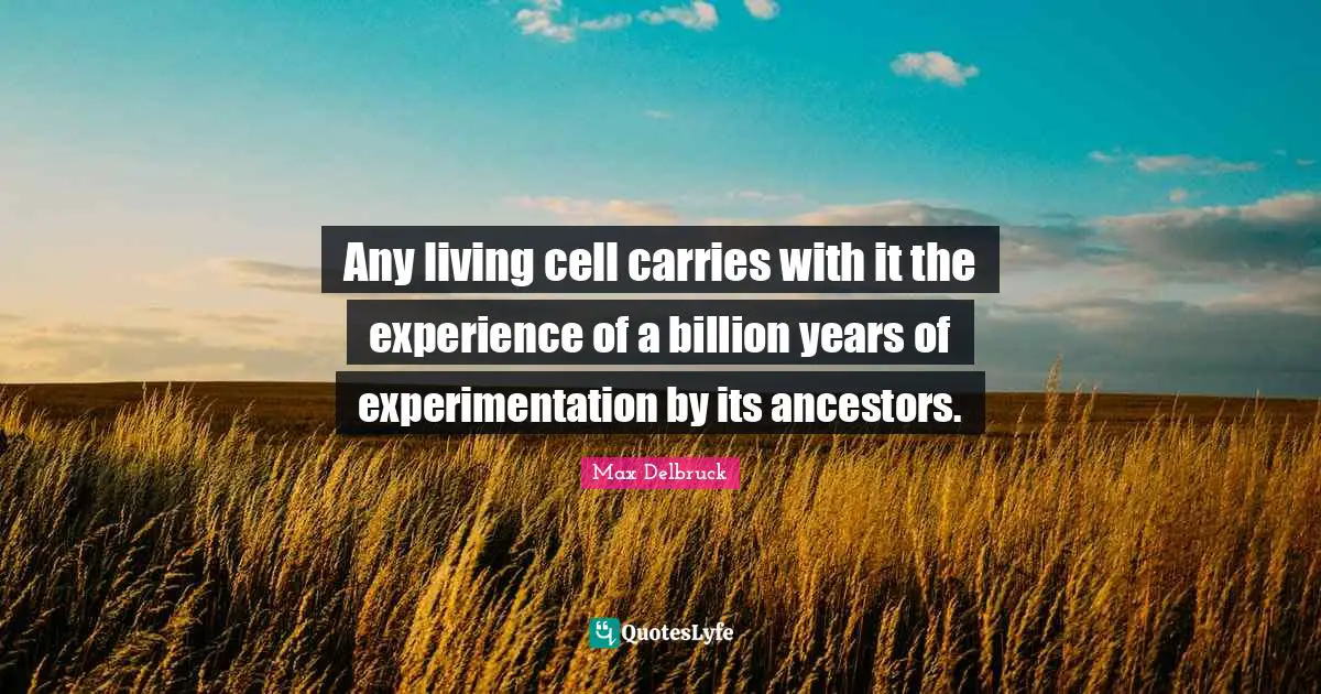 Any living cell carries with it the experience of a billion years of experimentation by its ancestors.