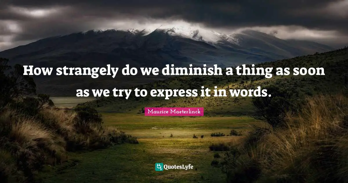 Diminish Quotes: "How strangely do we diminish a thing as soon as we try to express it in words."