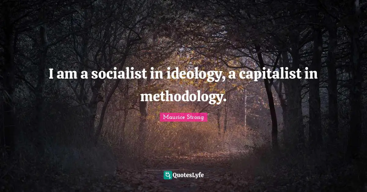 I am a socialist in ideology, a capitalist in methodology.