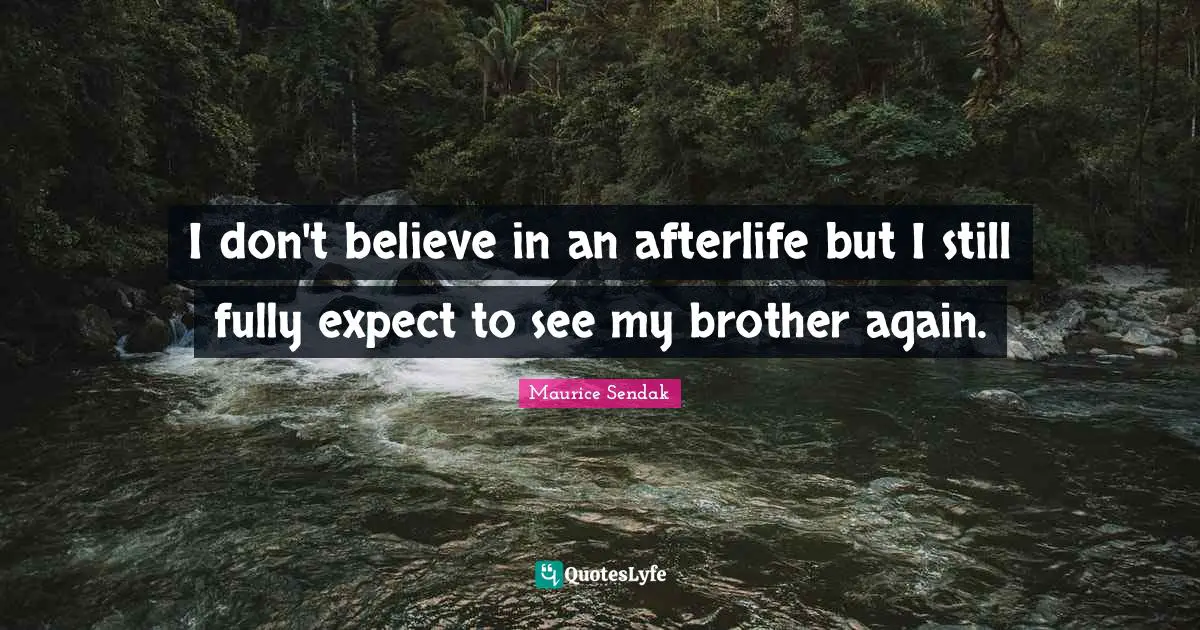 I don't believe in an afterlife but I still fully expect to see my brother again.