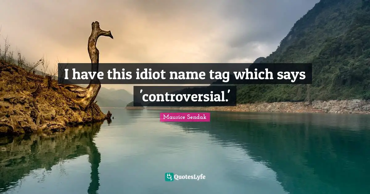 I have this idiot name tag which says 'controversial.'
