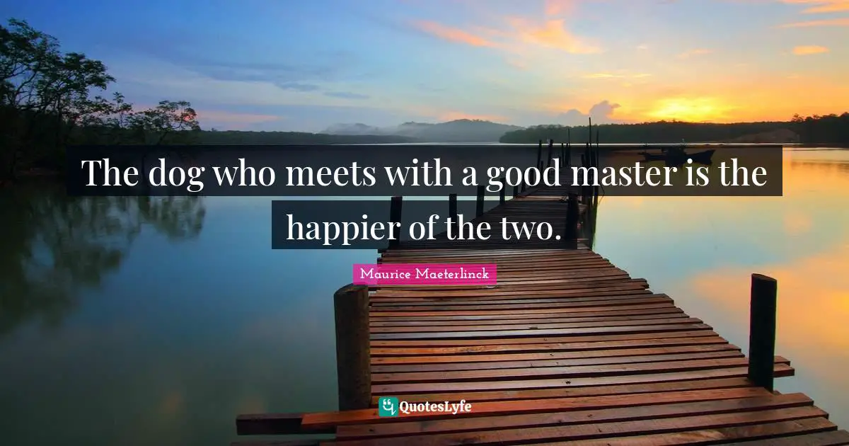 The dog who meets with a good master is the happier of the two.