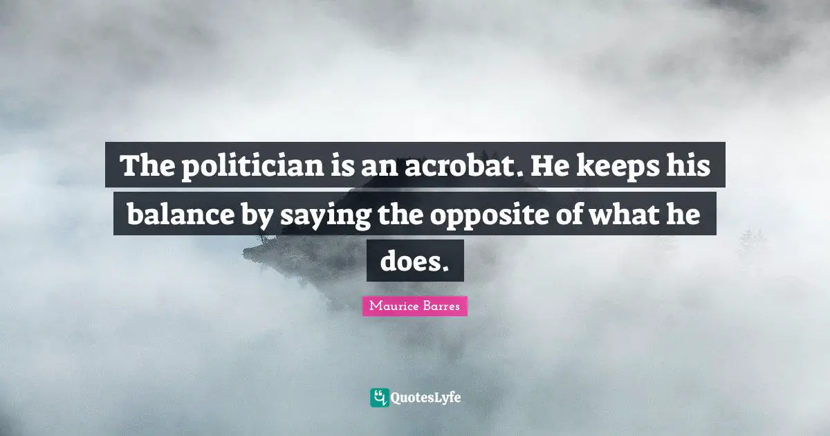 The politician is an acrobat. He keeps his balance by saying the opposite of what he does.