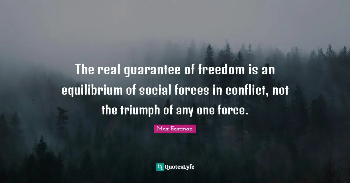 The real guarantee of freedom is an equilibrium of social forces in conflict, not the triumph of any one force.