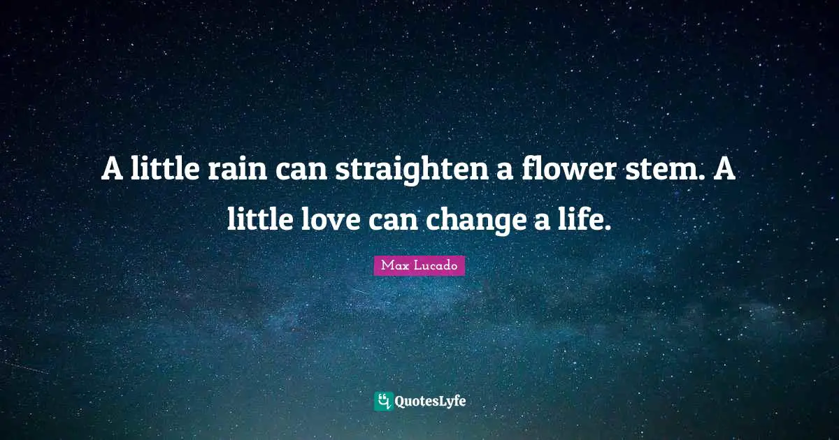 Stem Quotes: "A little rain can straighten a flower stem. A little love can change a life."