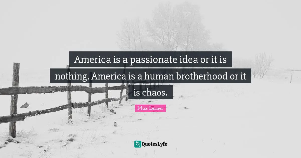 America is a passionate idea or it is nothing. America is a human brotherhood or it is chaos.