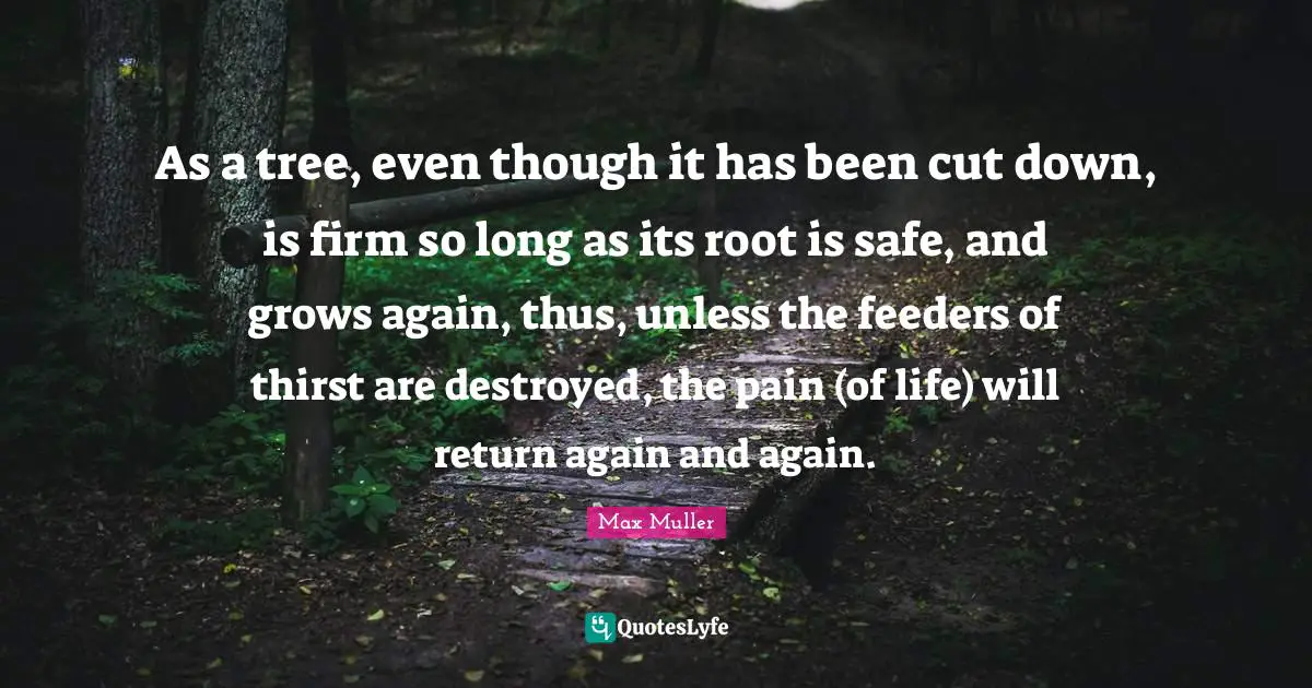 As a tree, even though it has been cut down, is firm so long as its root is safe, and grows again, thus, unless the feeders of thirst are destroyed, the pain (of life) will return again and again.