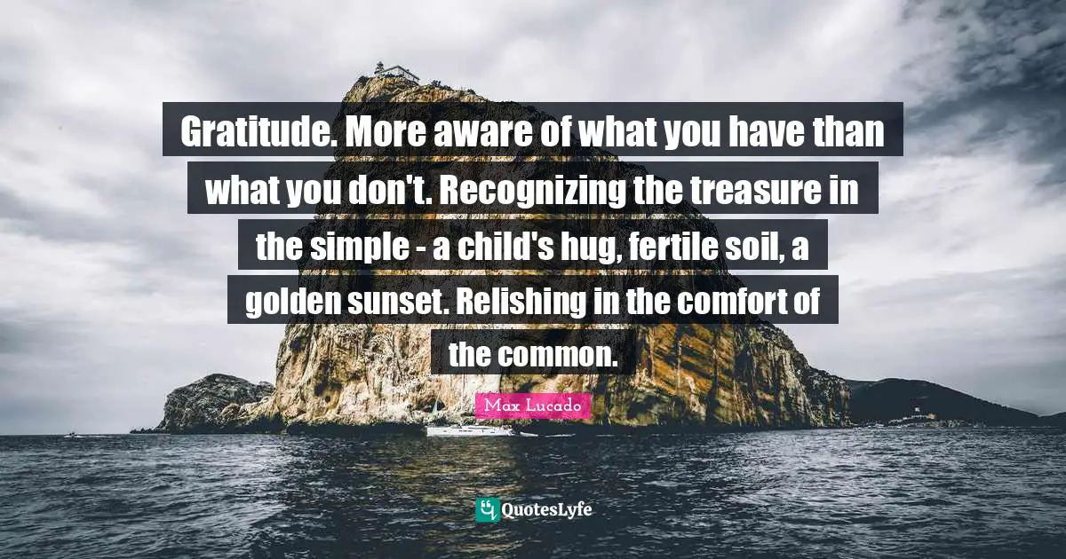Gratitude. More aware of what you have than what you don't. Recognizing the treasure in the simple - a child's hug, fertile soil, a golden sunset. Relishing in the comfort of the common.