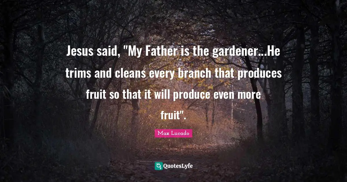 Jesus said, "My Father is the gardener...He trims and cleans every branch that produces fruit so that it will produce even more fruit".