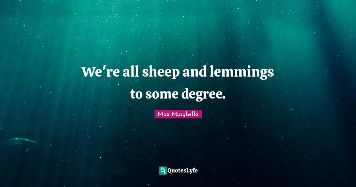 We're all sheep and lemmings to some degree.