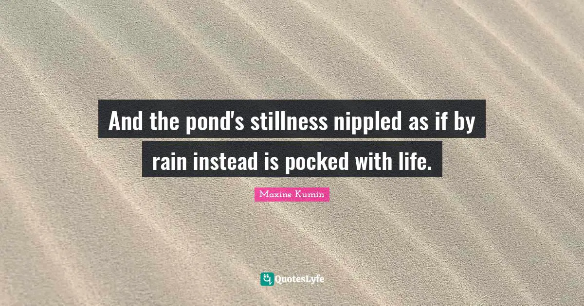 And the pond's stillness nippled as if by rain instead is pocked with life.