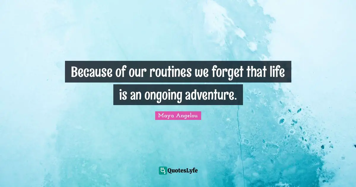 Because of our routines we forget that life is an ongoing adventure.