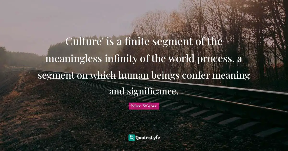 Meaningless Quotes: "Culture' is a finite segment of the meaningless infinity of the world process, a segment on which human beings confer meaning and significance."
