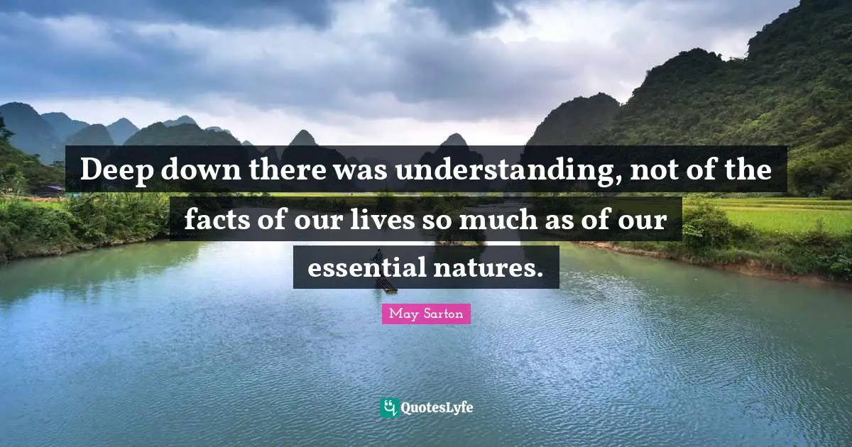 Deep down there was understanding, not of the facts of our lives so much as of our essential natures.
