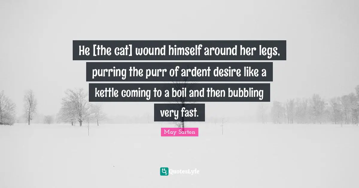 He [the cat] wound himself around her legs, purring the purr of ardent desire like a kettle coming to a boil and then bubbling very fast.