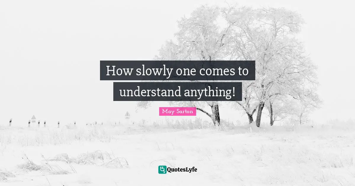 How slowly one comes to understand anything!