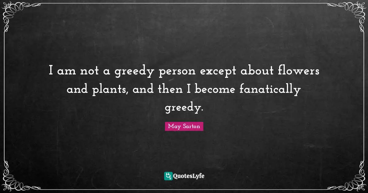 I am not a greedy person except about flowers and plants, and then I become fanatically greedy.