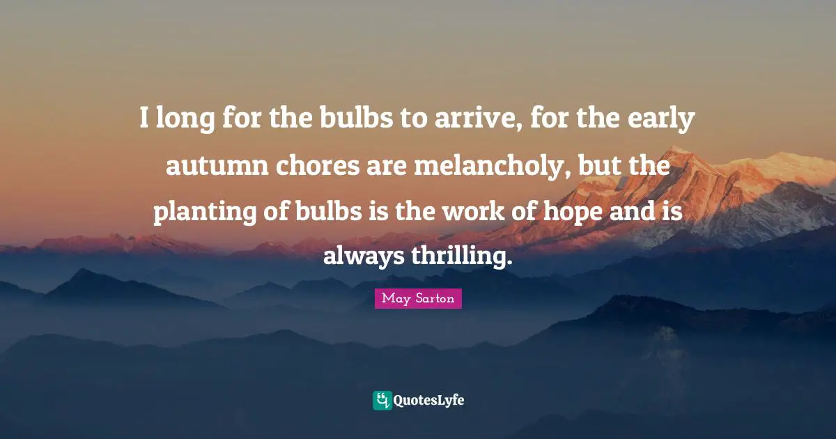 I long for the bulbs to arrive, for the early autumn chores are melancholy, but the planting of bulbs is the work of hope and is always thrilling.