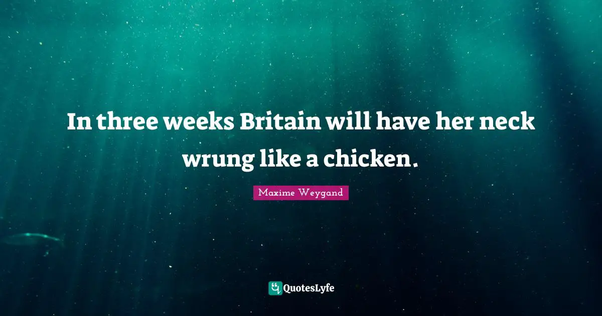 In three weeks Britain will have her neck wrung like a chicken.