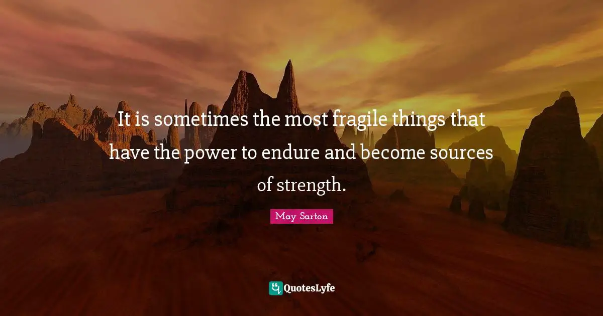 It is sometimes the most fragile things that have the power to endure and become sources of strength.