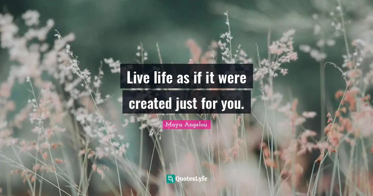 Live life as if it were created just for you.