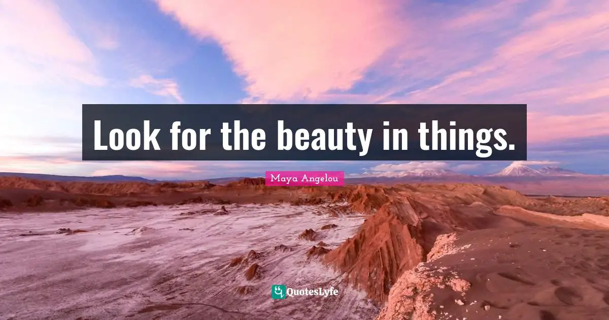 Look for the beauty in things.