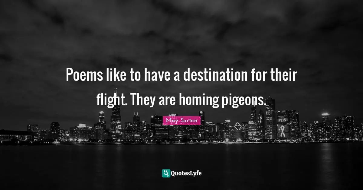 Poems like to have a destination for their flight. They are homing pigeons.