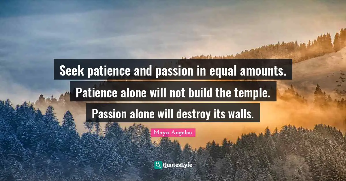 Seek patience and passion in equal amounts. Patience alone will not build the temple. Passion alone will destroy its walls.