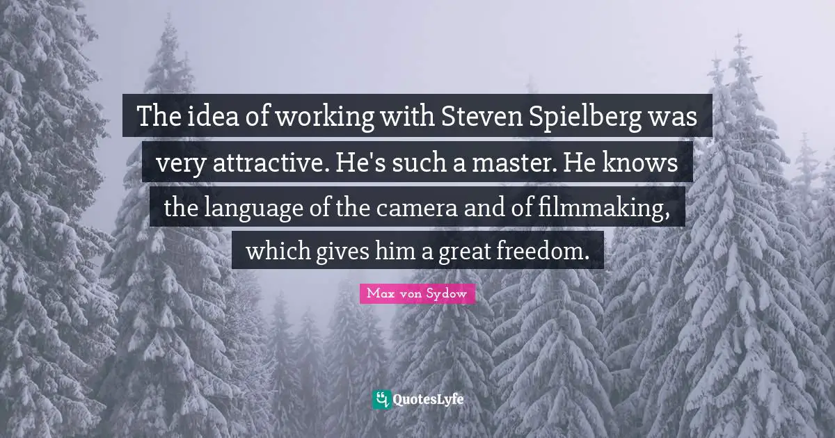 The idea of working with Steven Spielberg was very attractive. He's such a master. He knows the language of the camera and of filmmaking, which gives him a great freedom.