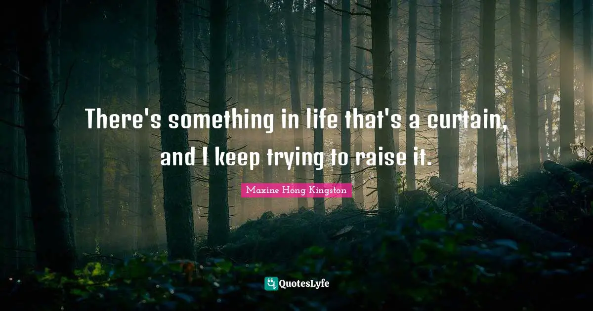 There's something in life that's a curtain, and I keep trying to raise it.