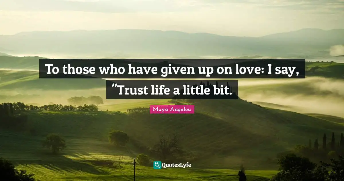 To those who have given up on love: I say, "Trust life a little bit.
