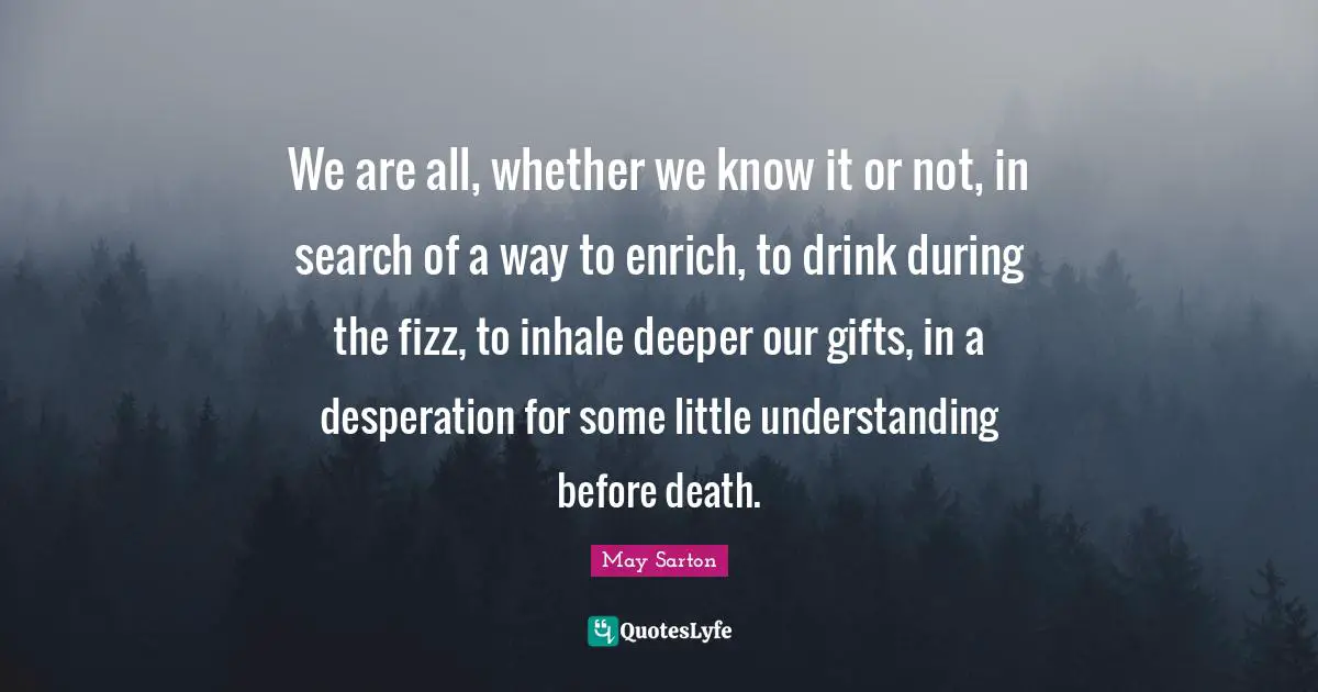 We are all, whether we know it or not, in search of a way to enrich, to drink during the fizz, to inhale deeper our gifts, in a desperation for some little understanding before death.