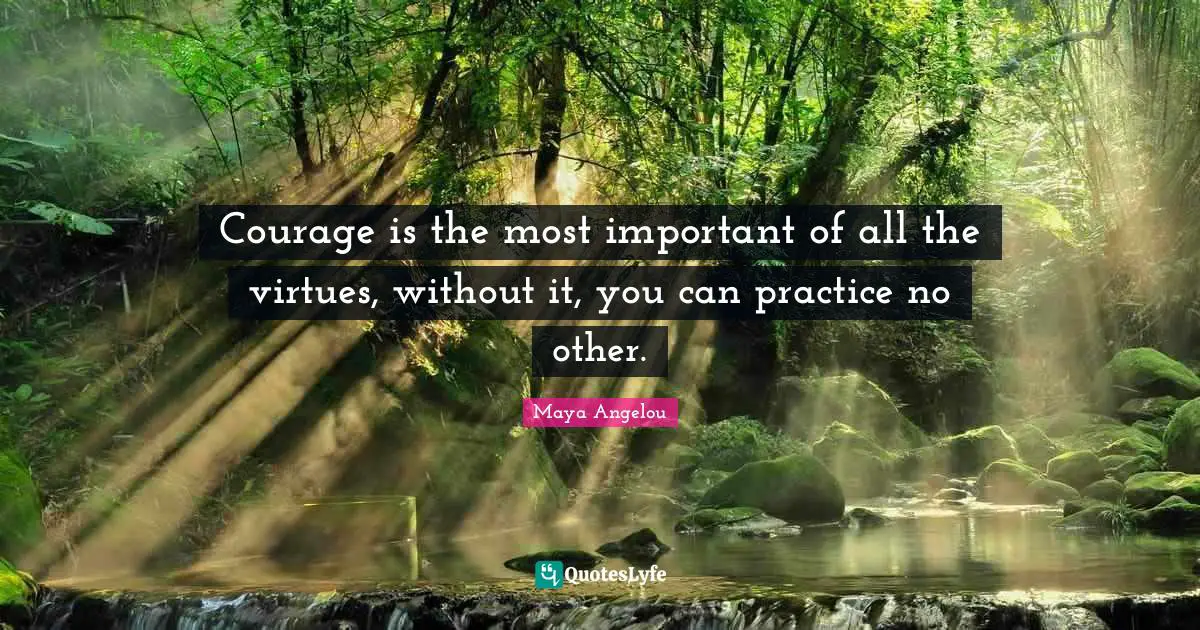 Courage is the most important of all the virtues, without it, you can practice no other.