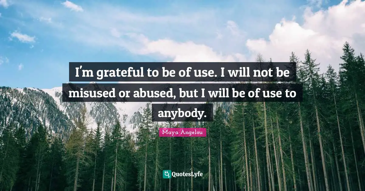 I'm grateful to be of use. I will not be misused or abused, but I will be of use to anybody.