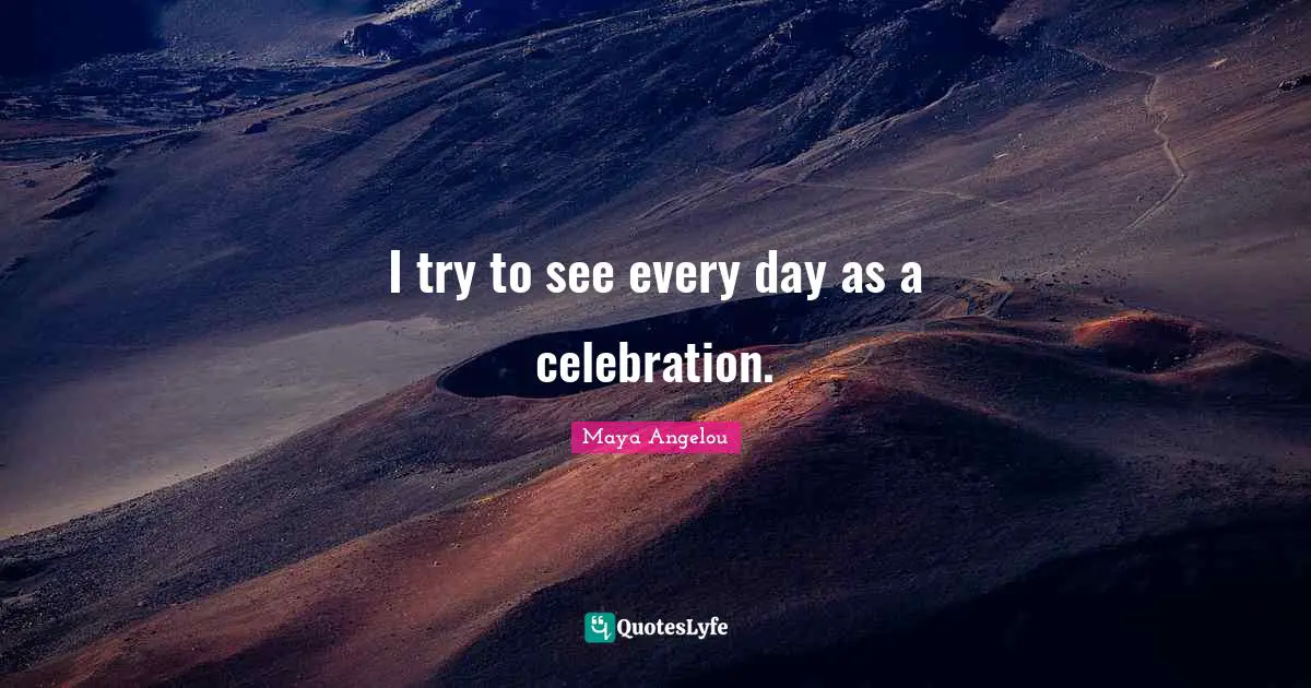 Celebration Quotes: "I try to see every day as a celebration."