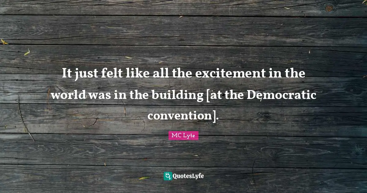 It just felt like all the excitement in the world was in the building [at the Democratic convention].