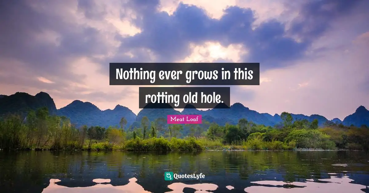 Nothing ever grows in this rotting old hole.
