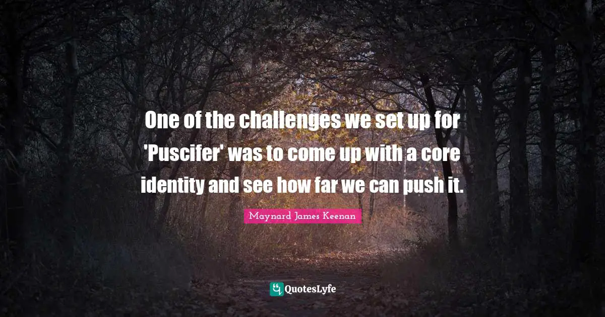 One of the challenges we set up for 'Puscifer' was to come up with a core identity and see how far we can push it.