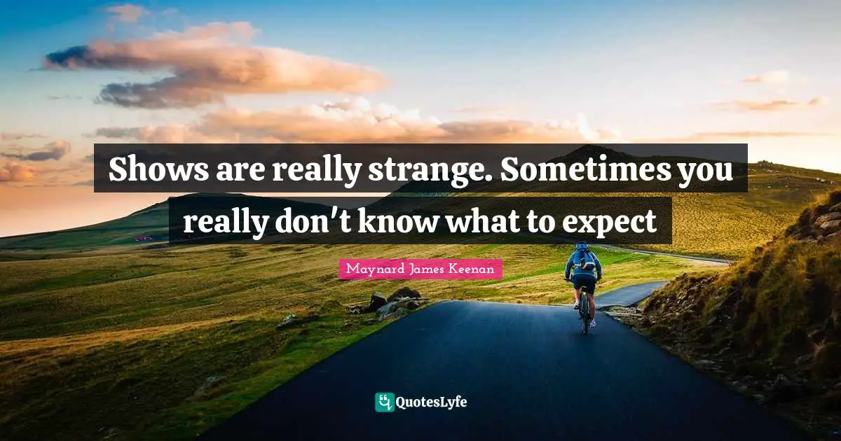 Maynard James Keenan Quotes: "Shows are really strange. Sometimes you really don't know what to expect"