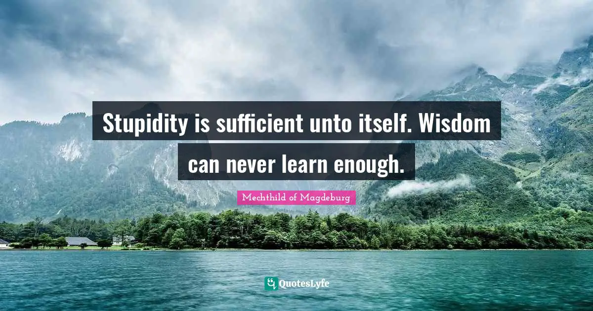 Stupidity Quotes: "Stupidity is sufficient unto itself. Wisdom can never learn enough."