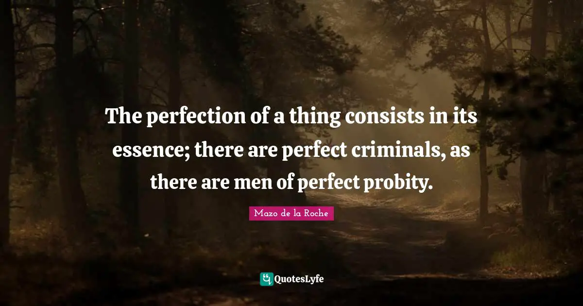 The perfection of a thing consists in its essence; there are perfect criminals, as there are men of perfect probity.