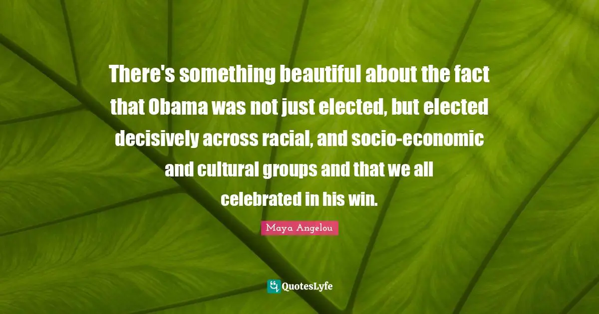 There's something beautiful about the fact that Obama was not just elected, but elected decisively across racial, and socio-economic and cultural groups and that we all celebrated in his win.