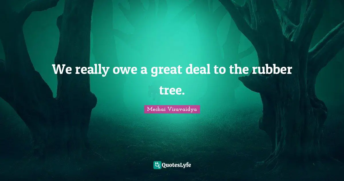 We really owe a great deal to the rubber tree.