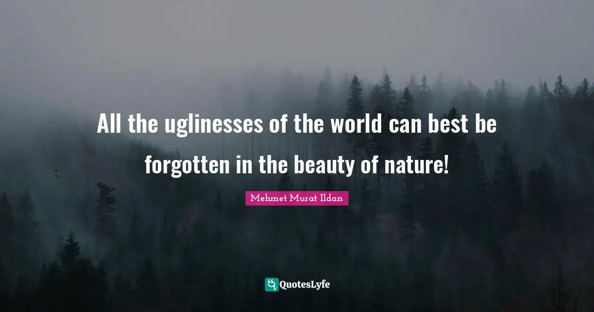 All the uglinesses of the world can best be forgotten in the beauty of nature!