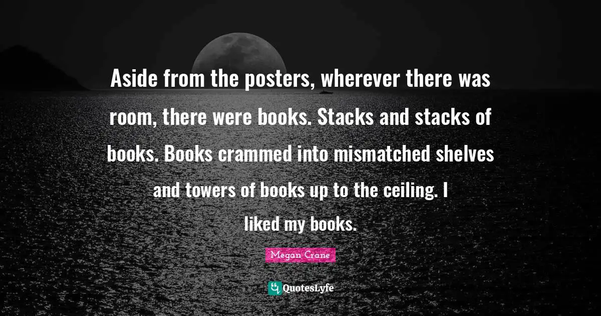 Aside from the posters, wherever there was room, there were books. Stacks and stacks of books. Books crammed into mismatched shelves and towers of books up to the ceiling. I liked my books.