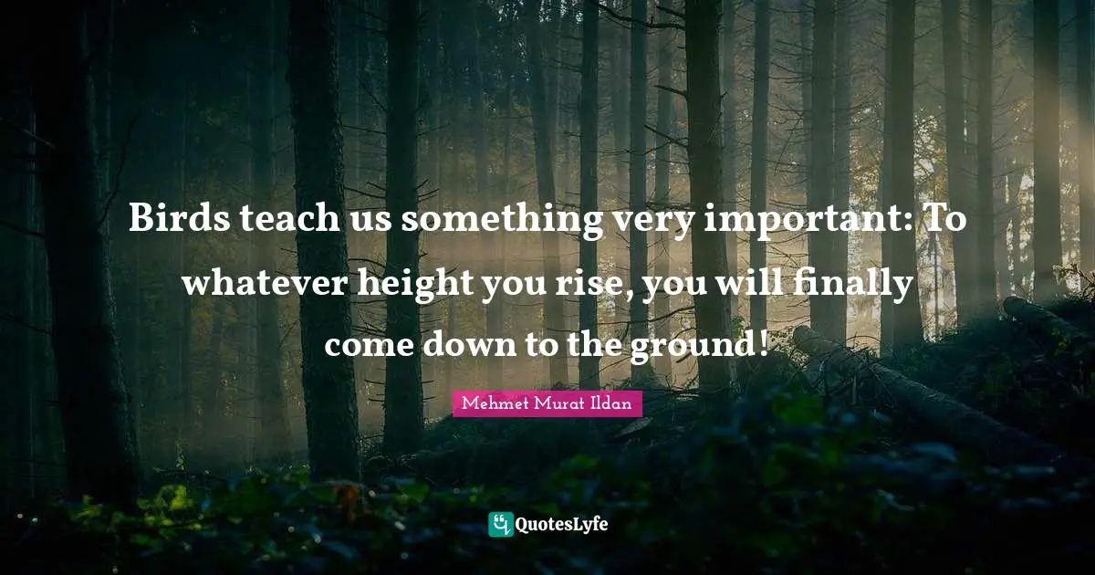 Birds teach us something very important: To whatever height you rise, you will finally come down to the ground!