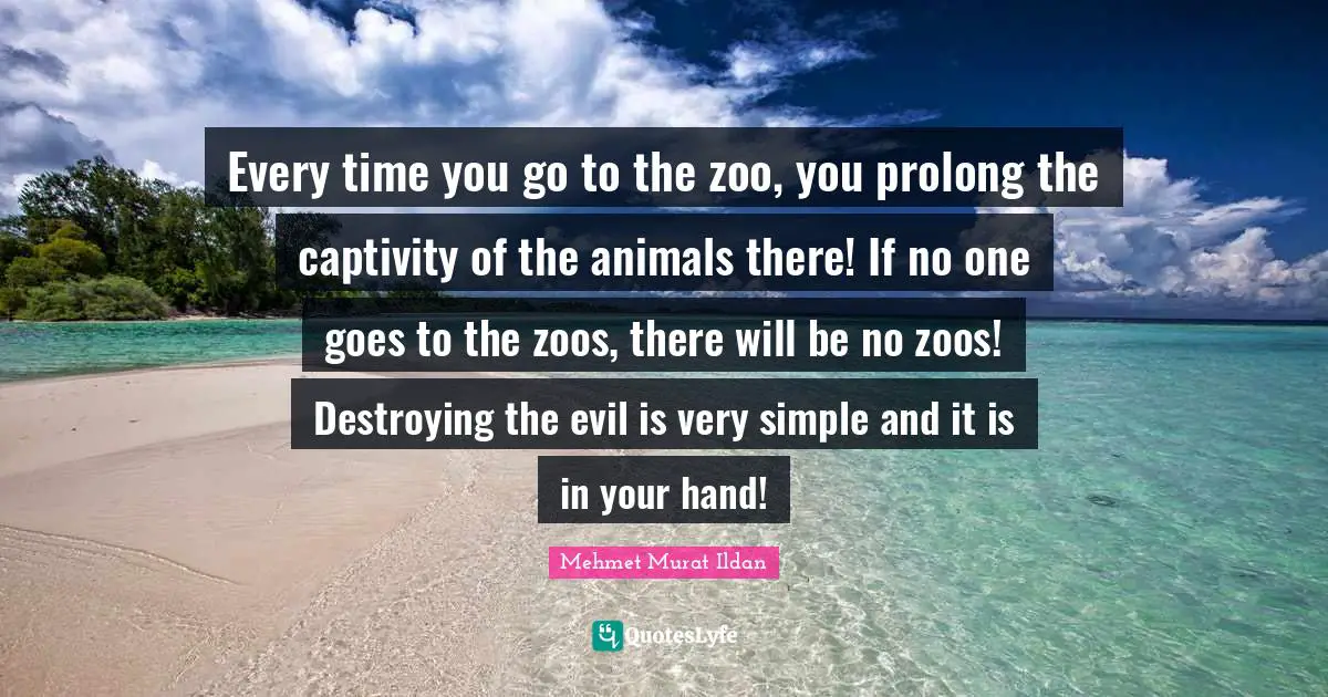 Every time you go to the zoo, you prolong the captivity of the animals there! If no one goes to the zoos, there will be no zoos! Destroying the evil is very simple and it is in your hand!